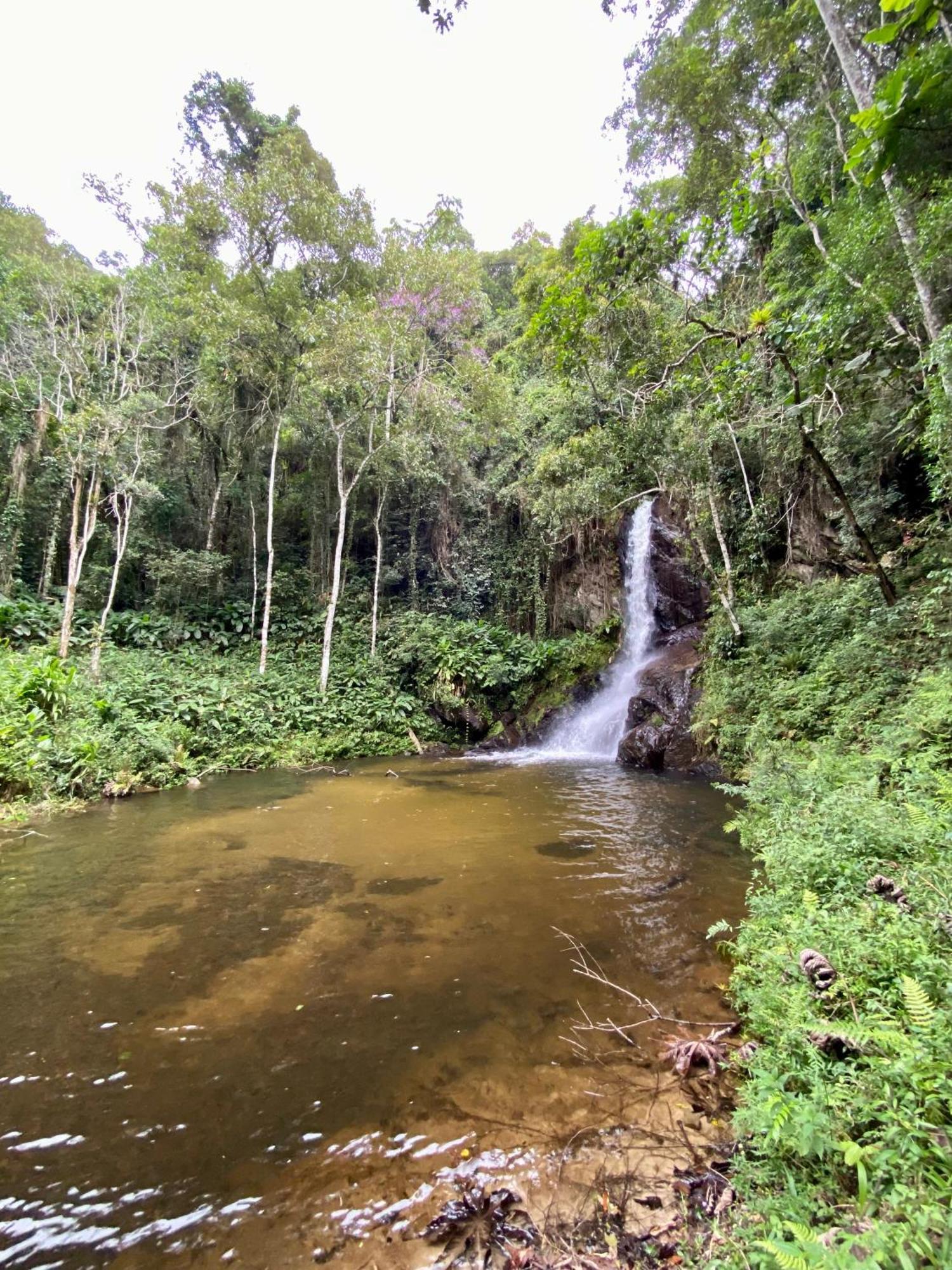 Chales Fazenda Floresta Das Araucarias Cunha Exterior photo